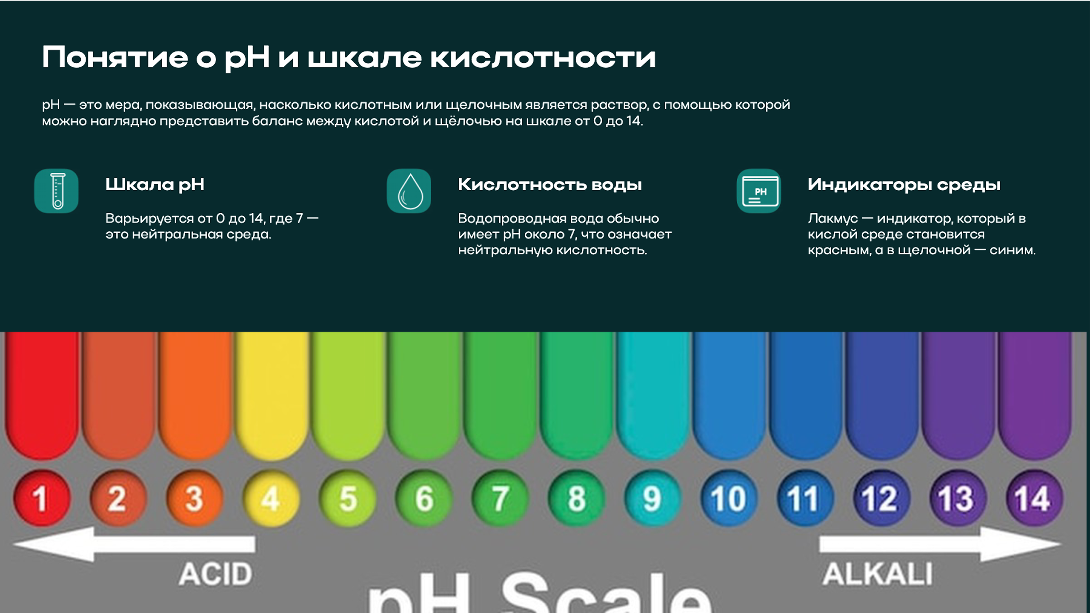 Слайд 5: Шкала pH