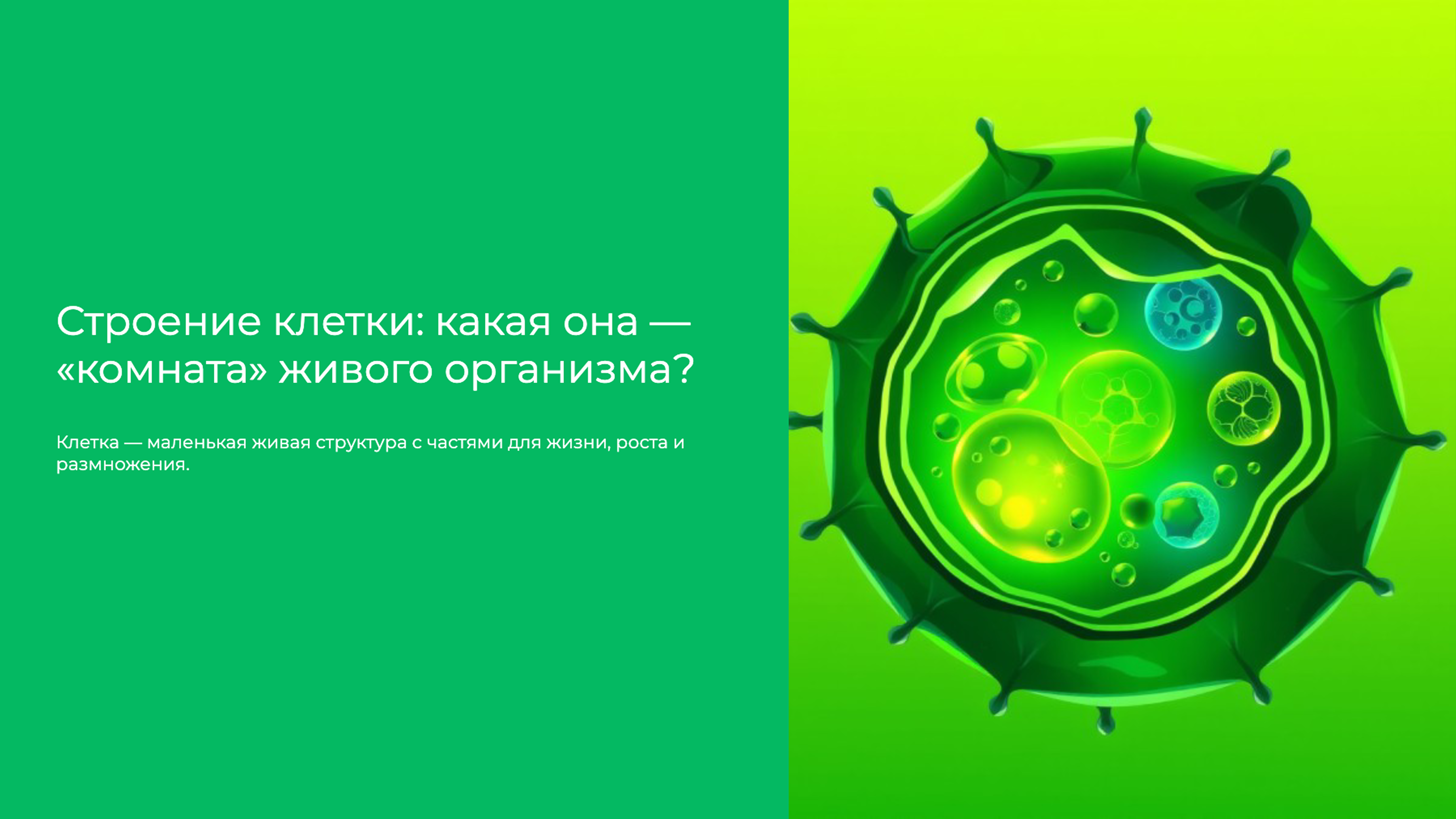 Слайд 1: Строение клетки: какая она — «комната» живого организма?