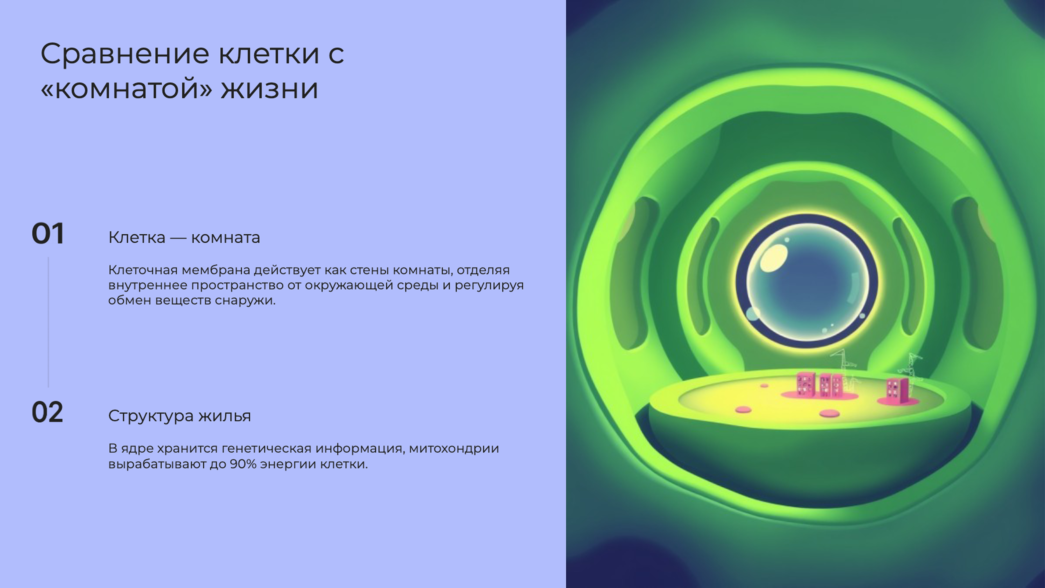 Слайд 2: Сравнение клетки с «комнатой»