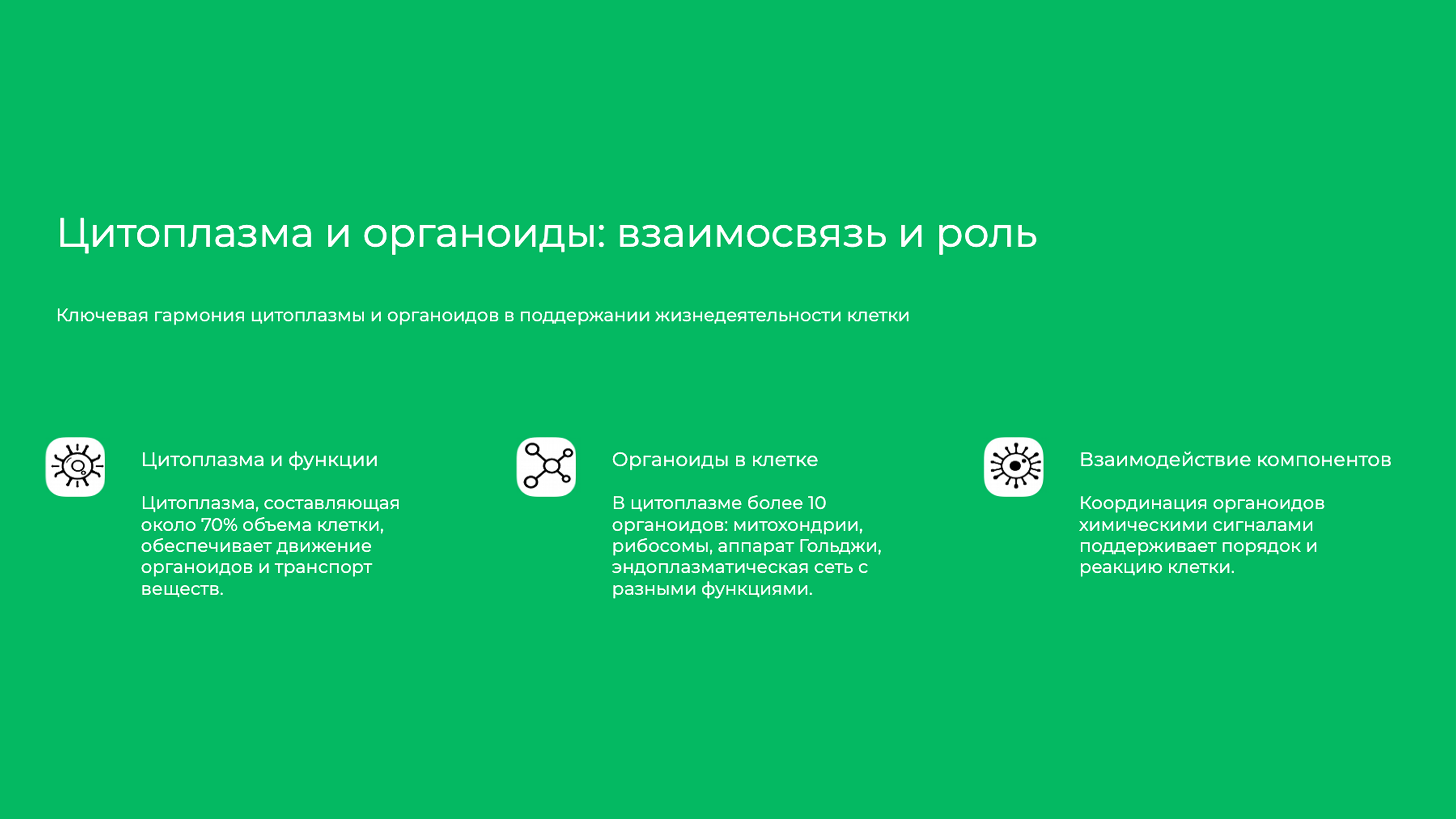 Слайд 5: Цитоплазма и органоиды