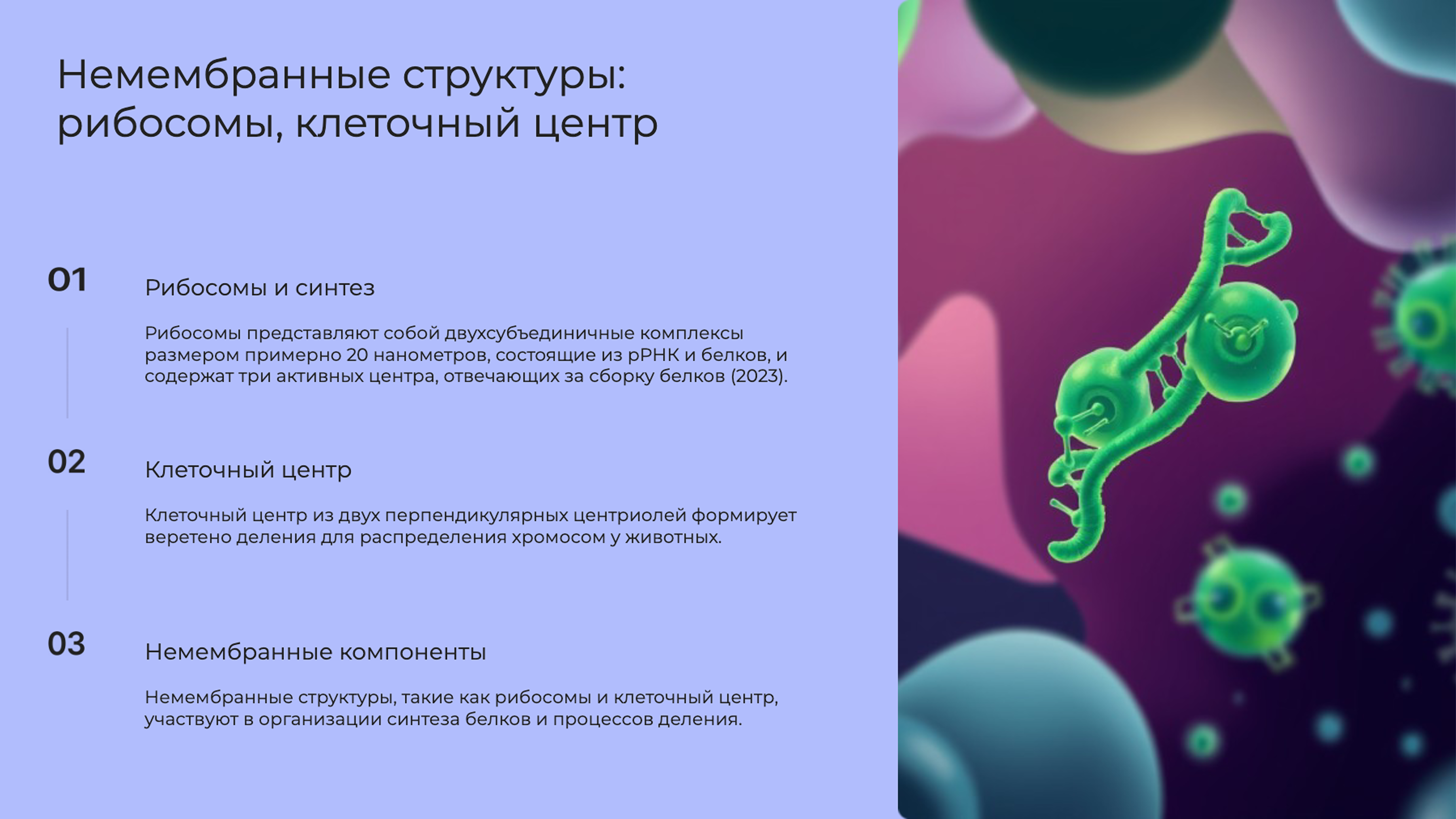 Слайд 8: Немембранные структуры