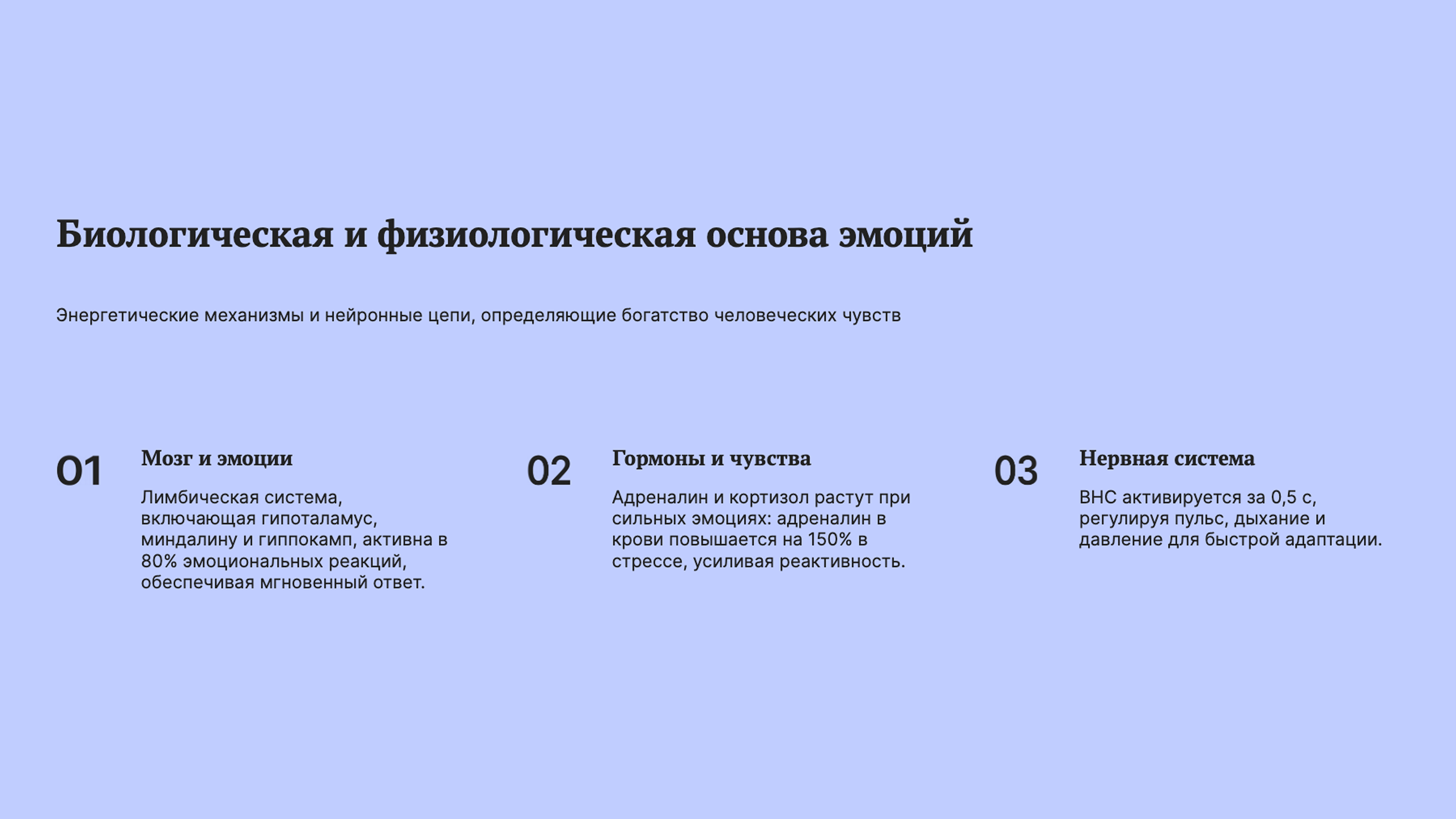 Слайд 4: Энергетика и нейронные цепи