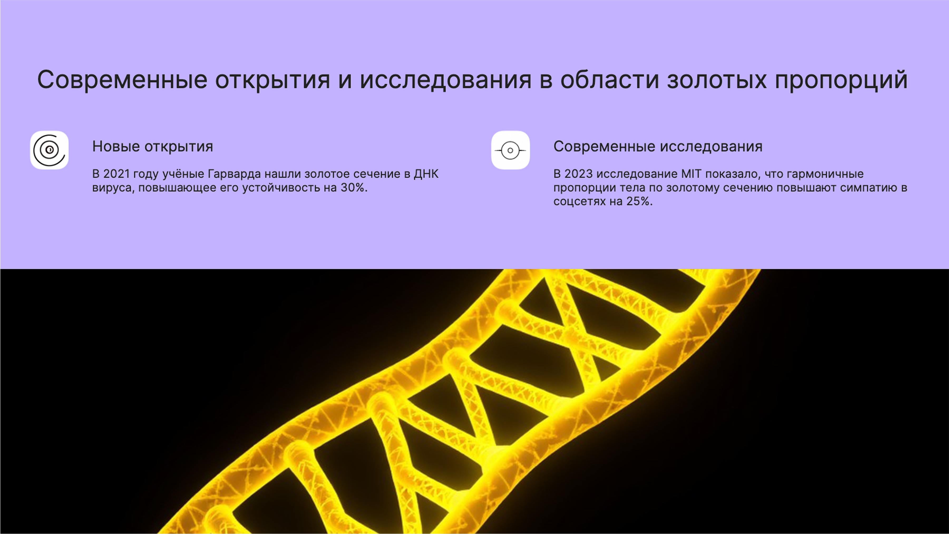 Слайд 8: Золотое сечение в ДНК