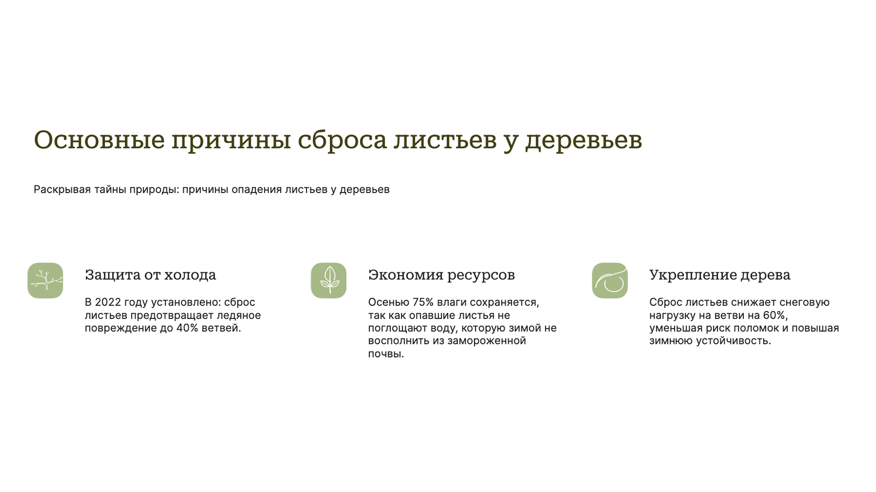 Слайд 3: Причины опадения листьев