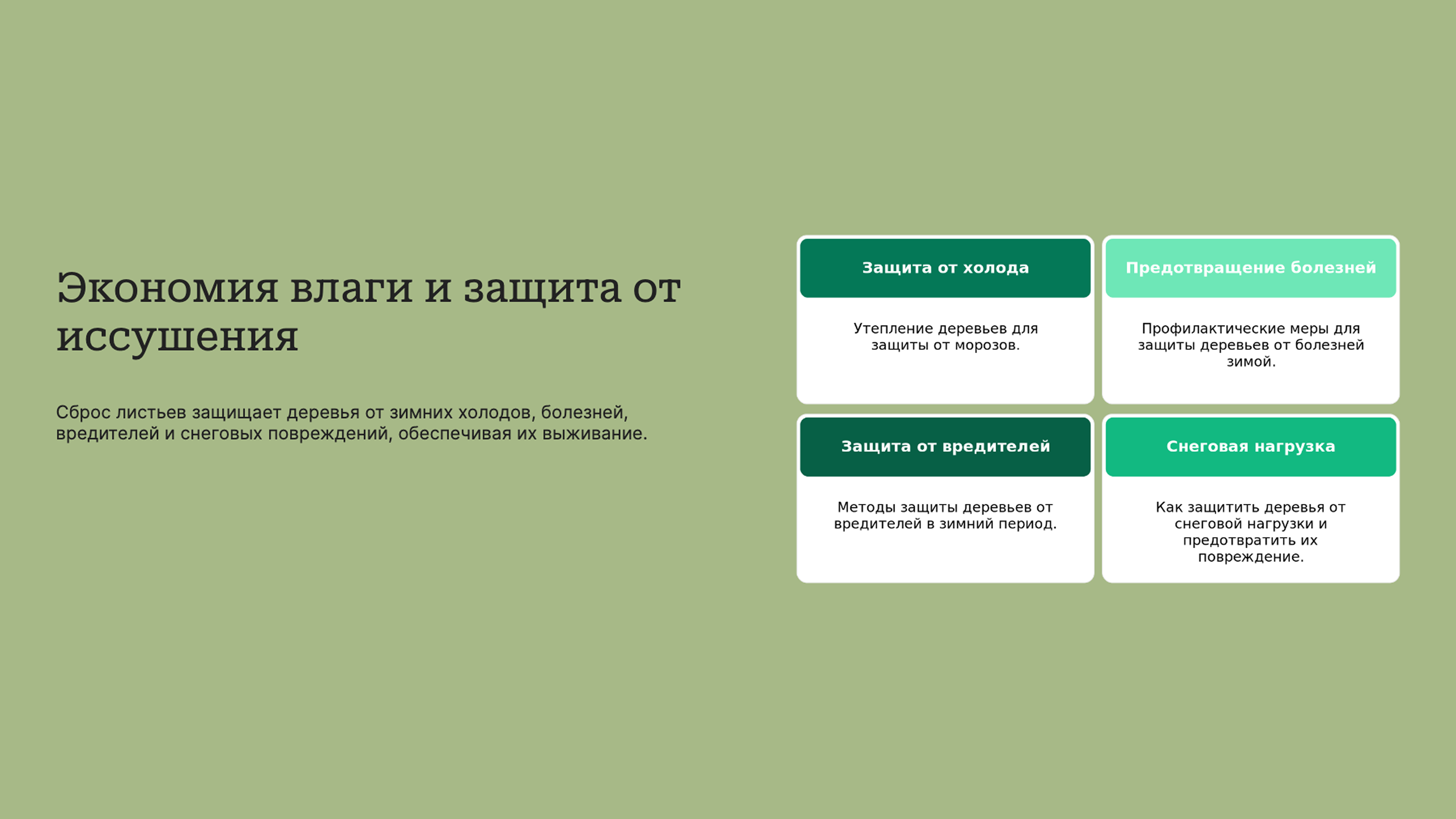 Слайд 4: Защита деревьев