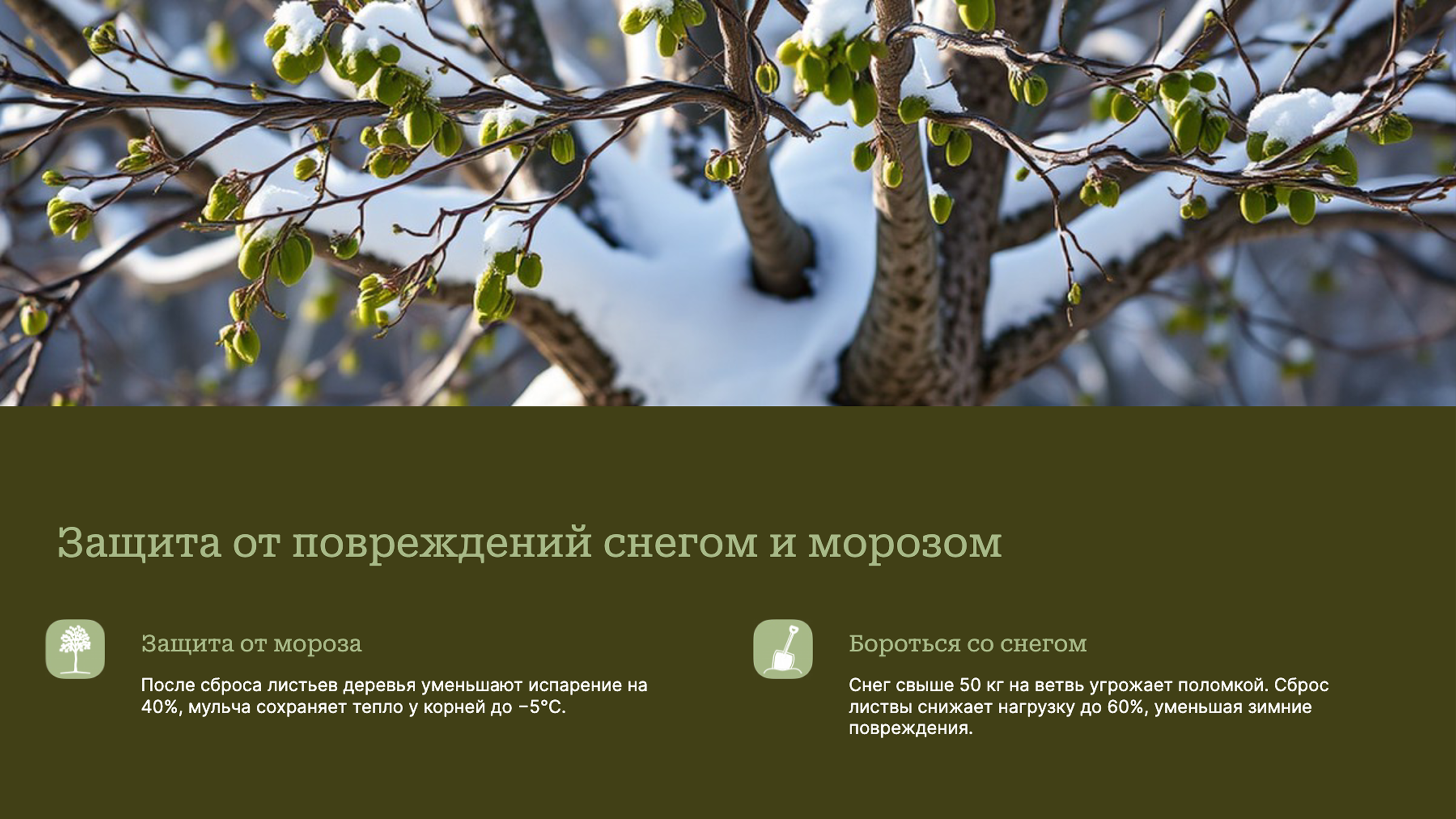 Слайд 5: Защита от повреждений