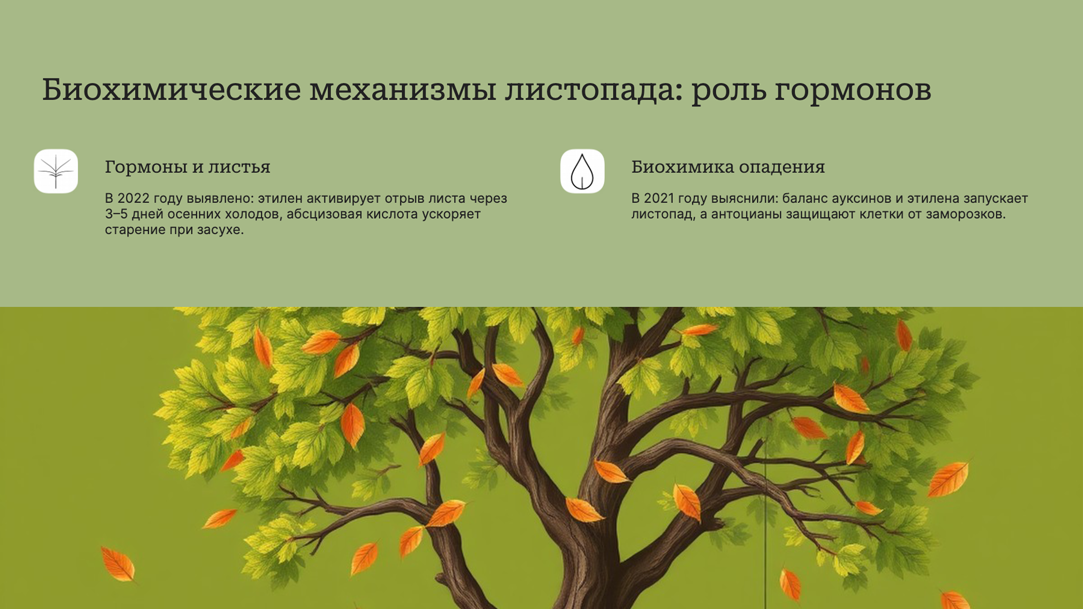 Слайд 6: Биохимические механизмы