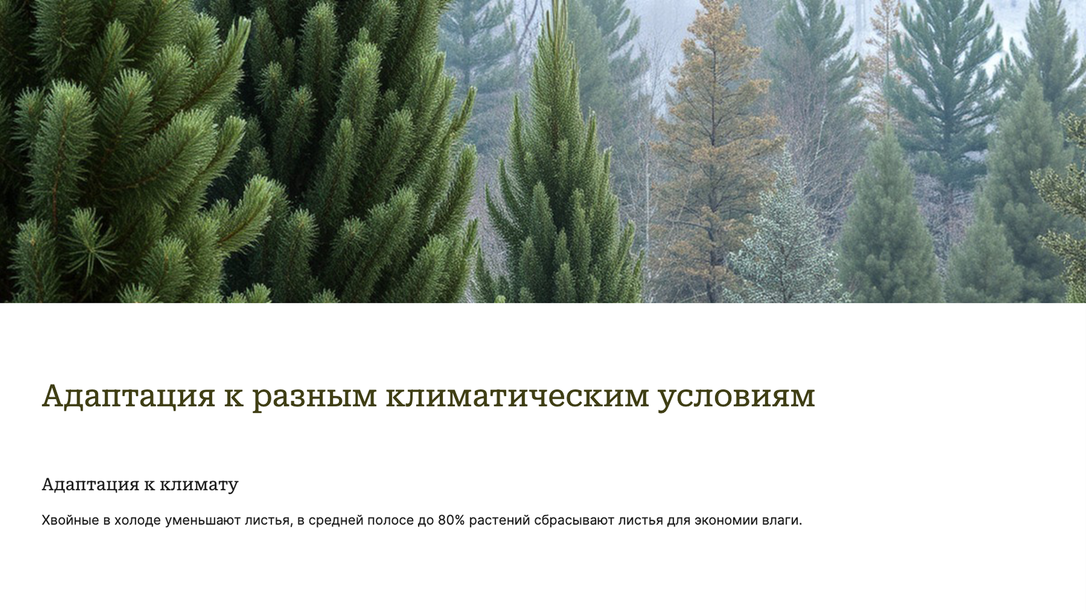 Слайд 7: Адаптация к климату