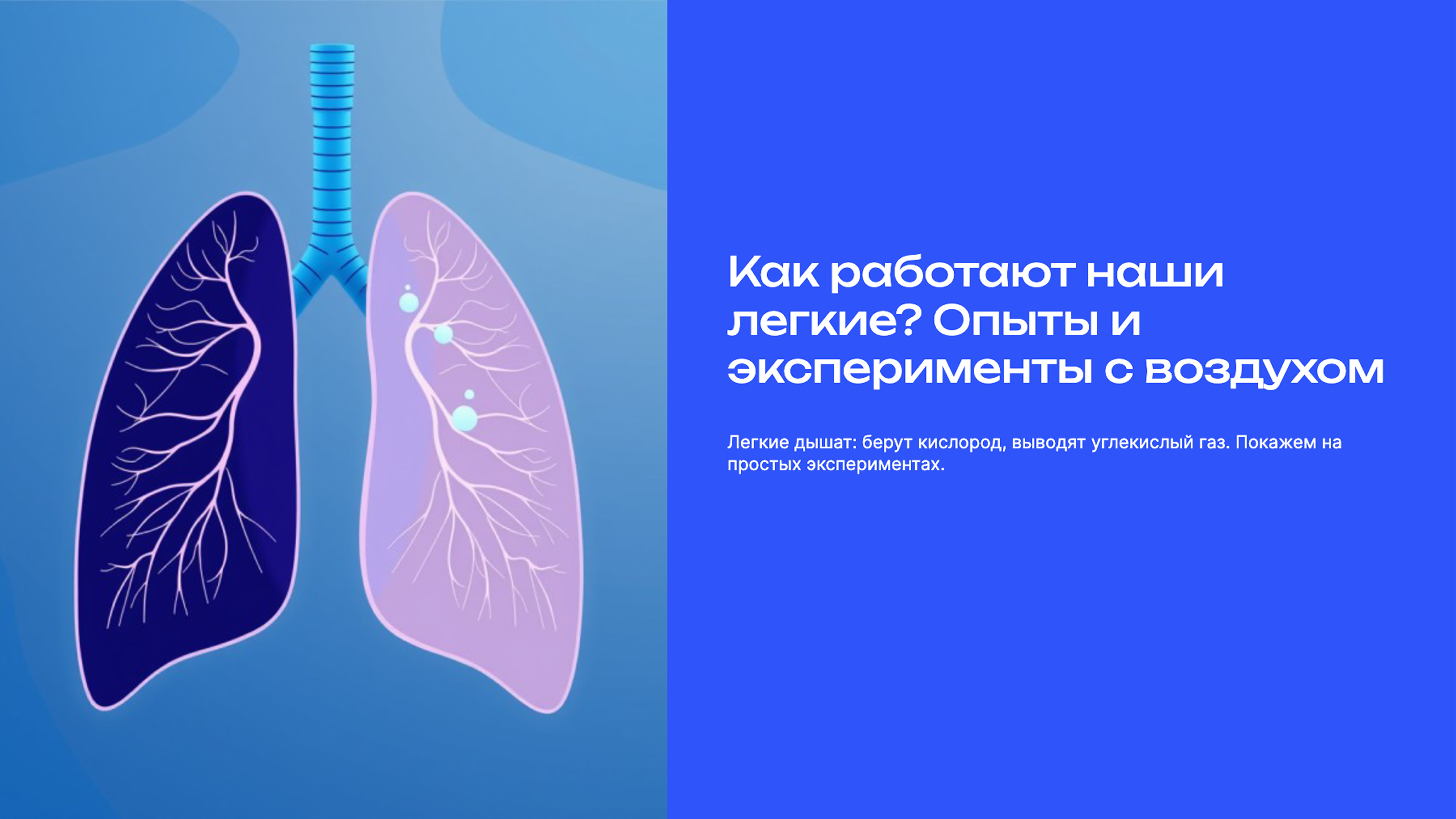 Слайд 1: Как работают наши легкие? Опыты и эксперименты с воздухом