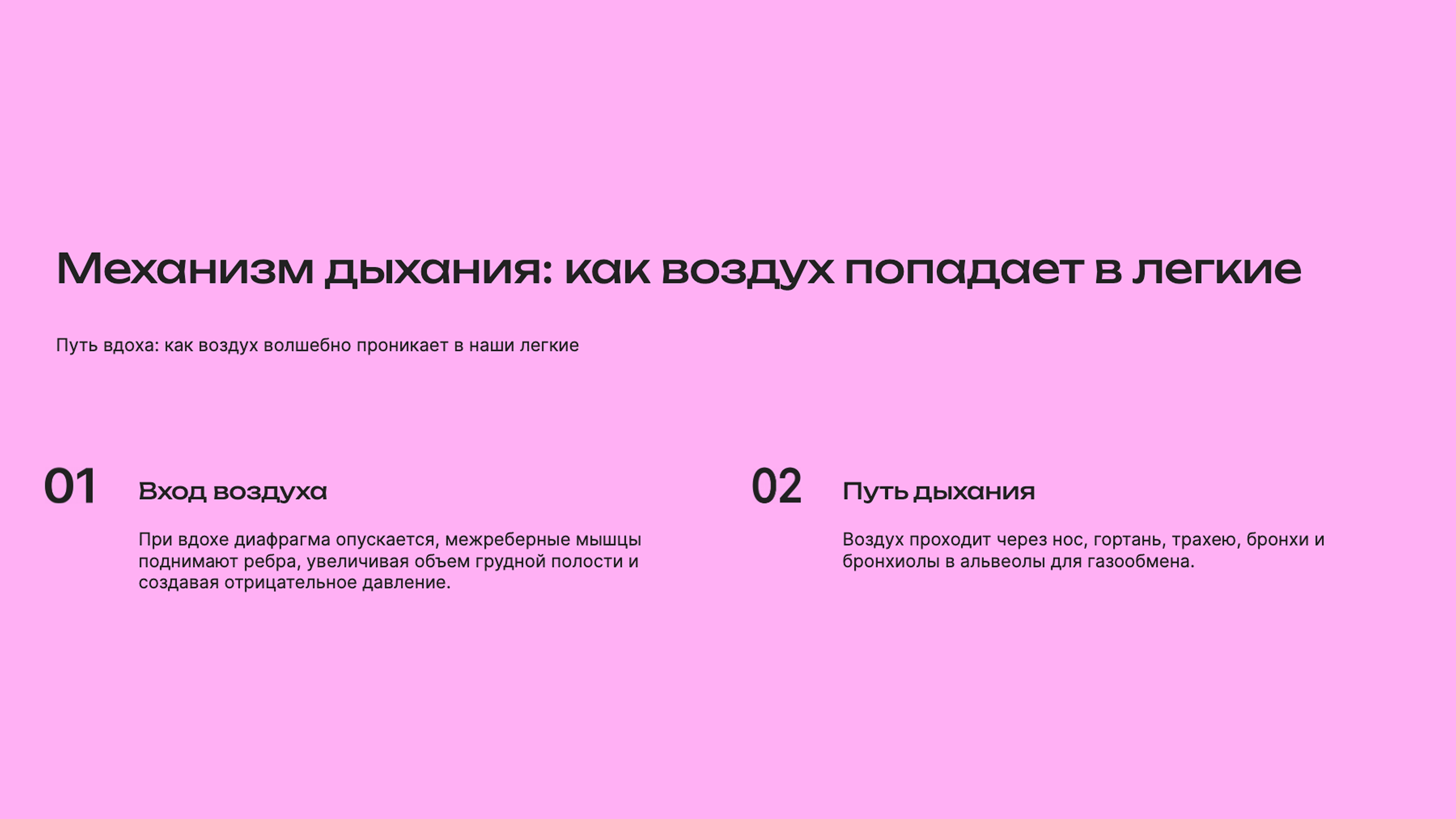 Слайд 2: Путь вдоха