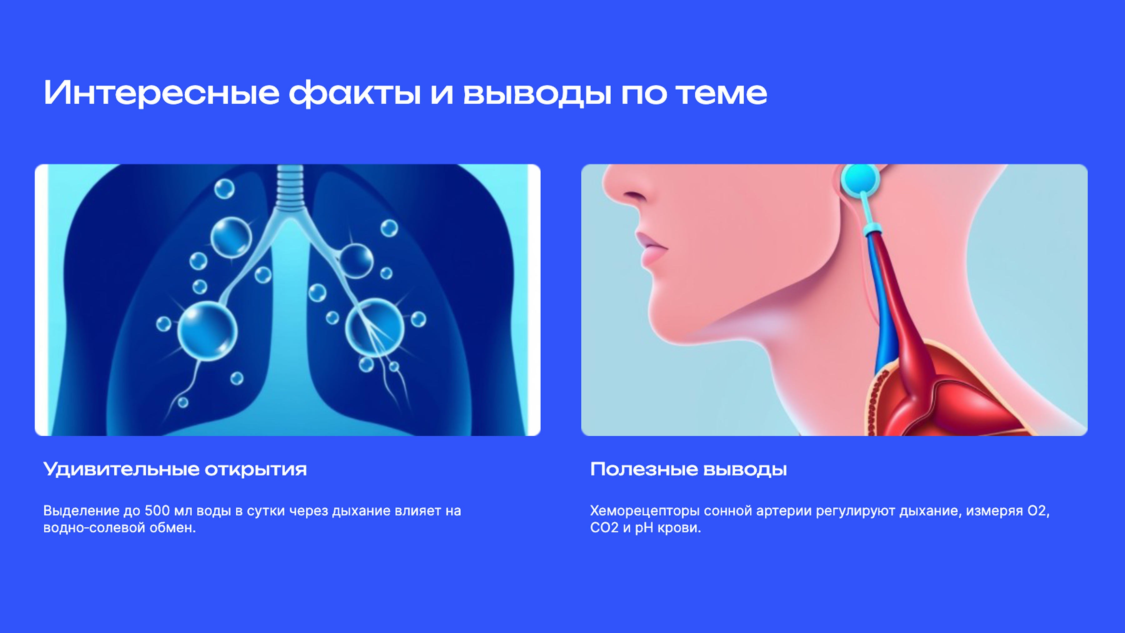 Слайд 9: Интересные факты