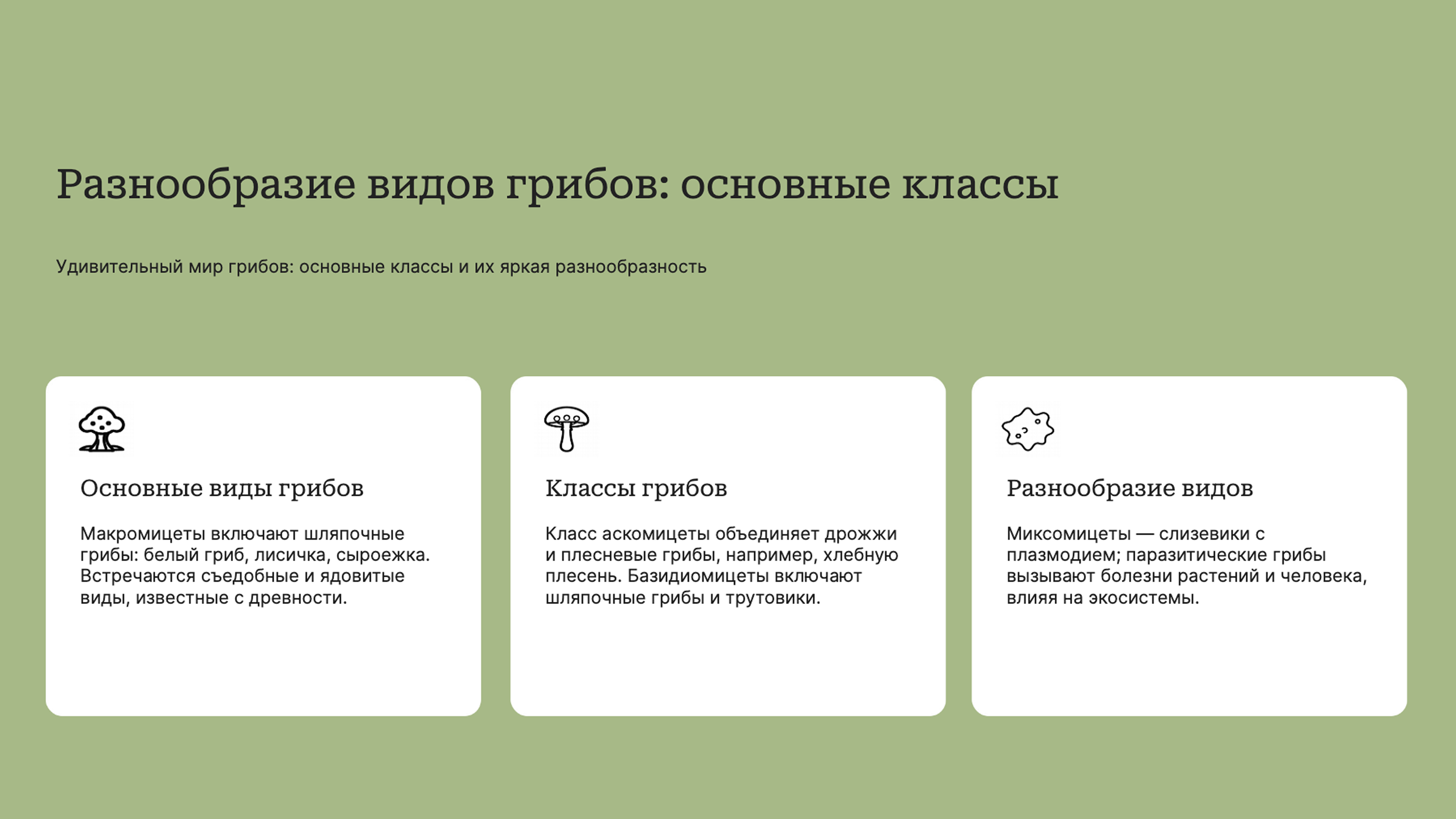 Слайд 8: Разнообразие грибов