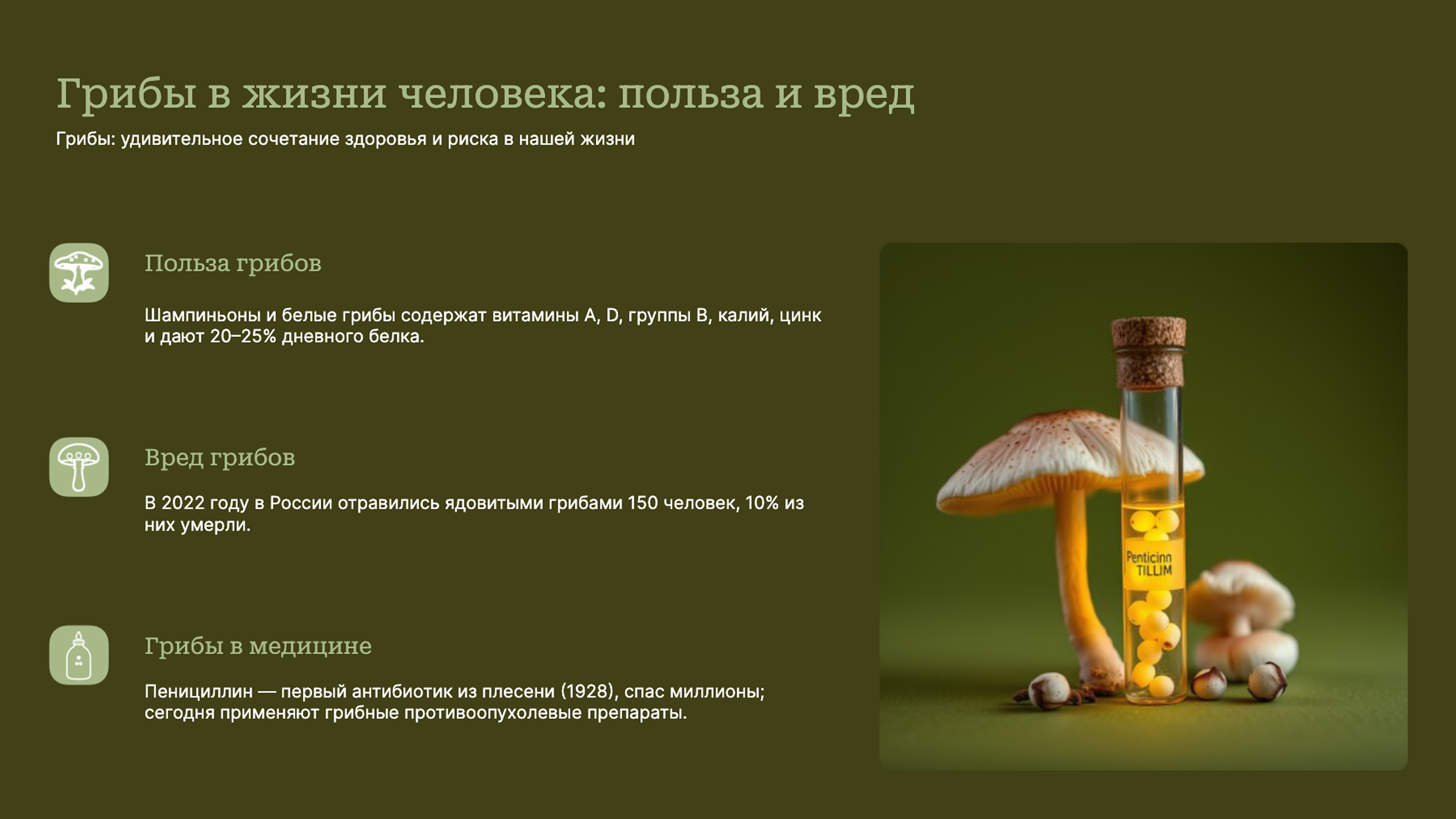 Слайд 9: Польза и риск