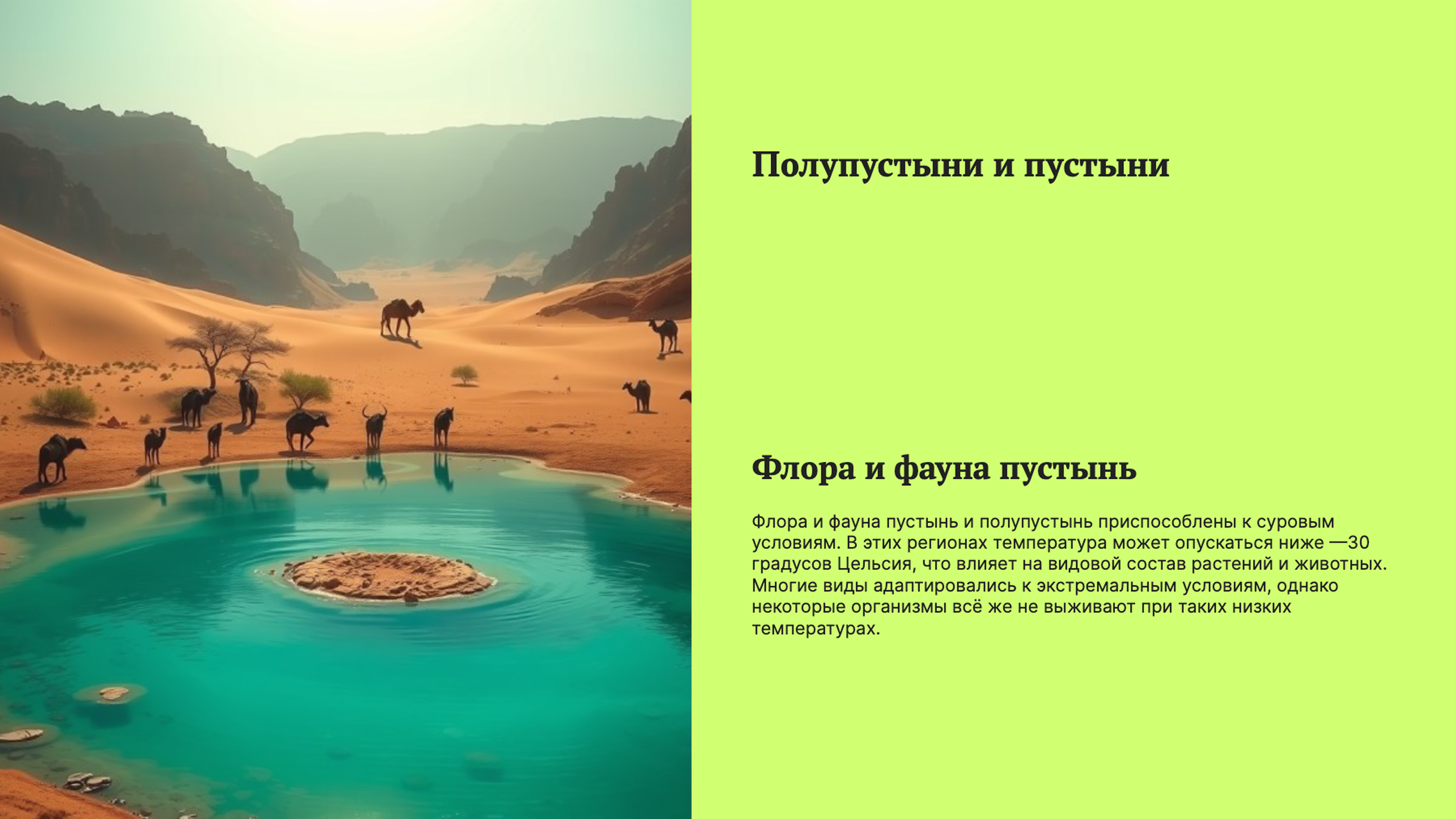 Слайд 10: Пустыни и полупустыни