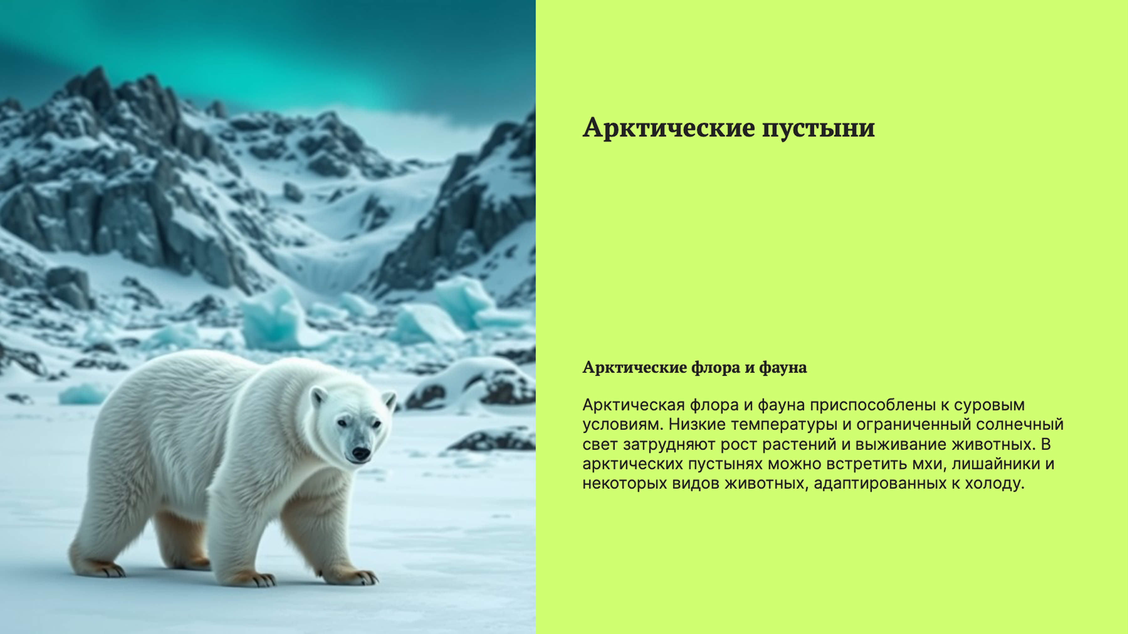 Слайд 2: Арктические пустыни