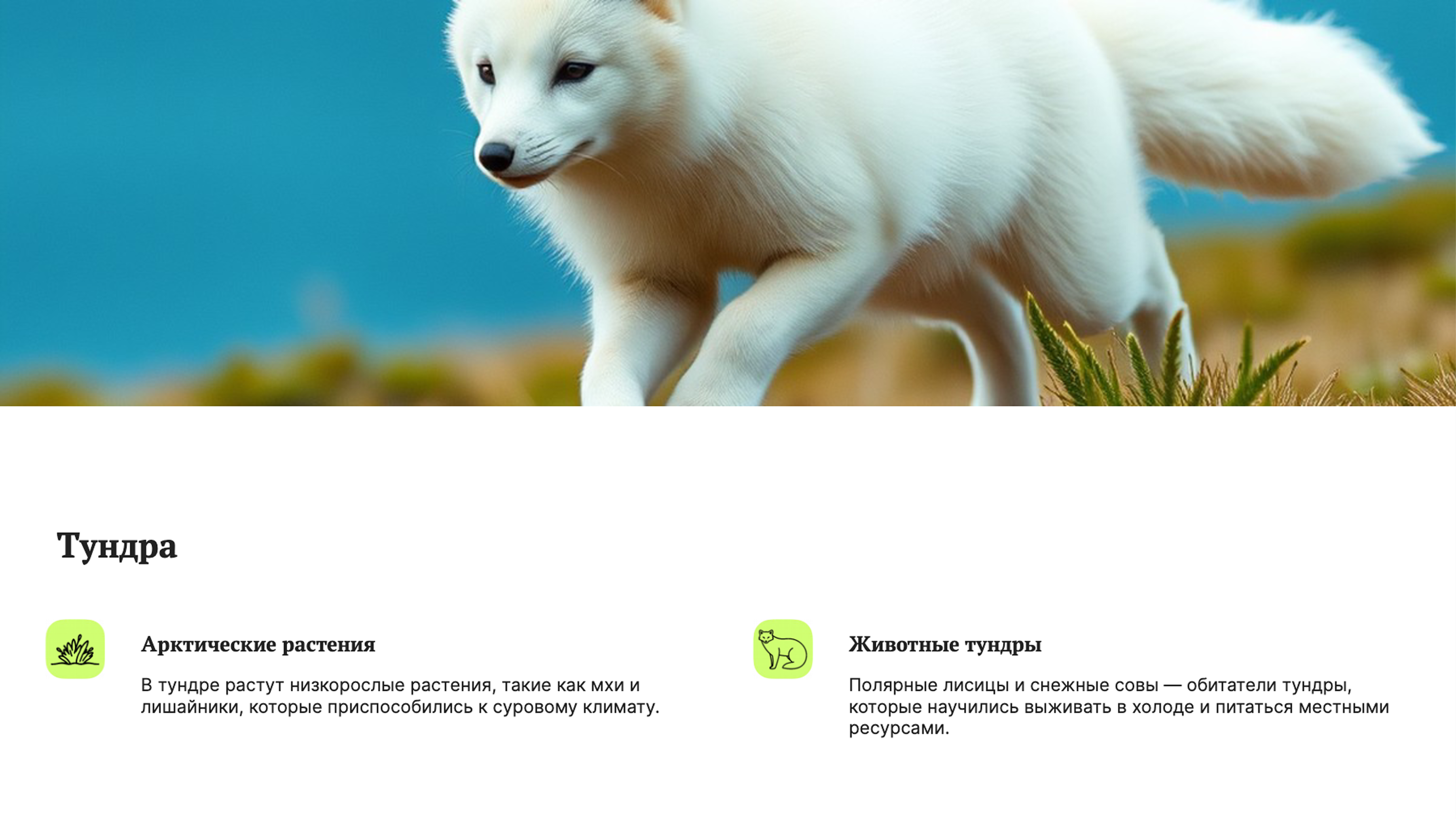 Слайд 3: Тундра