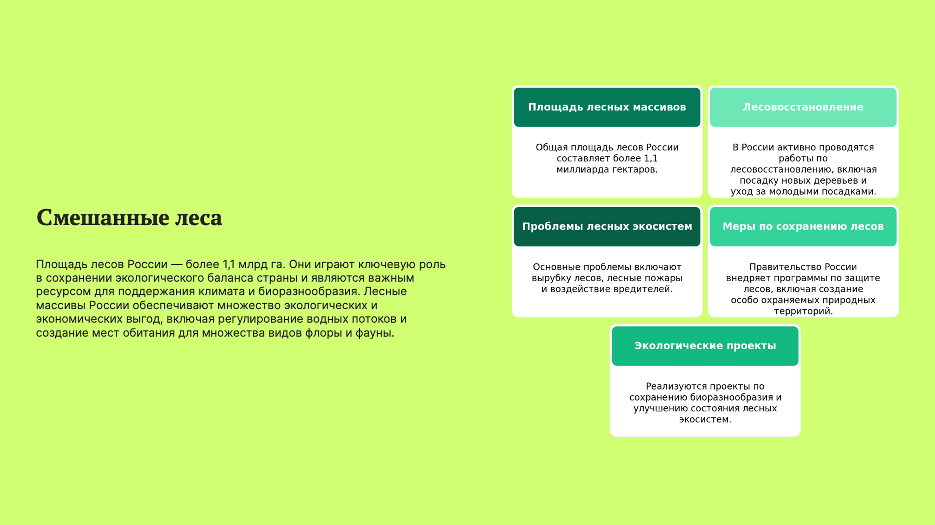 Слайд 6: Смешанные и широколиственные леса