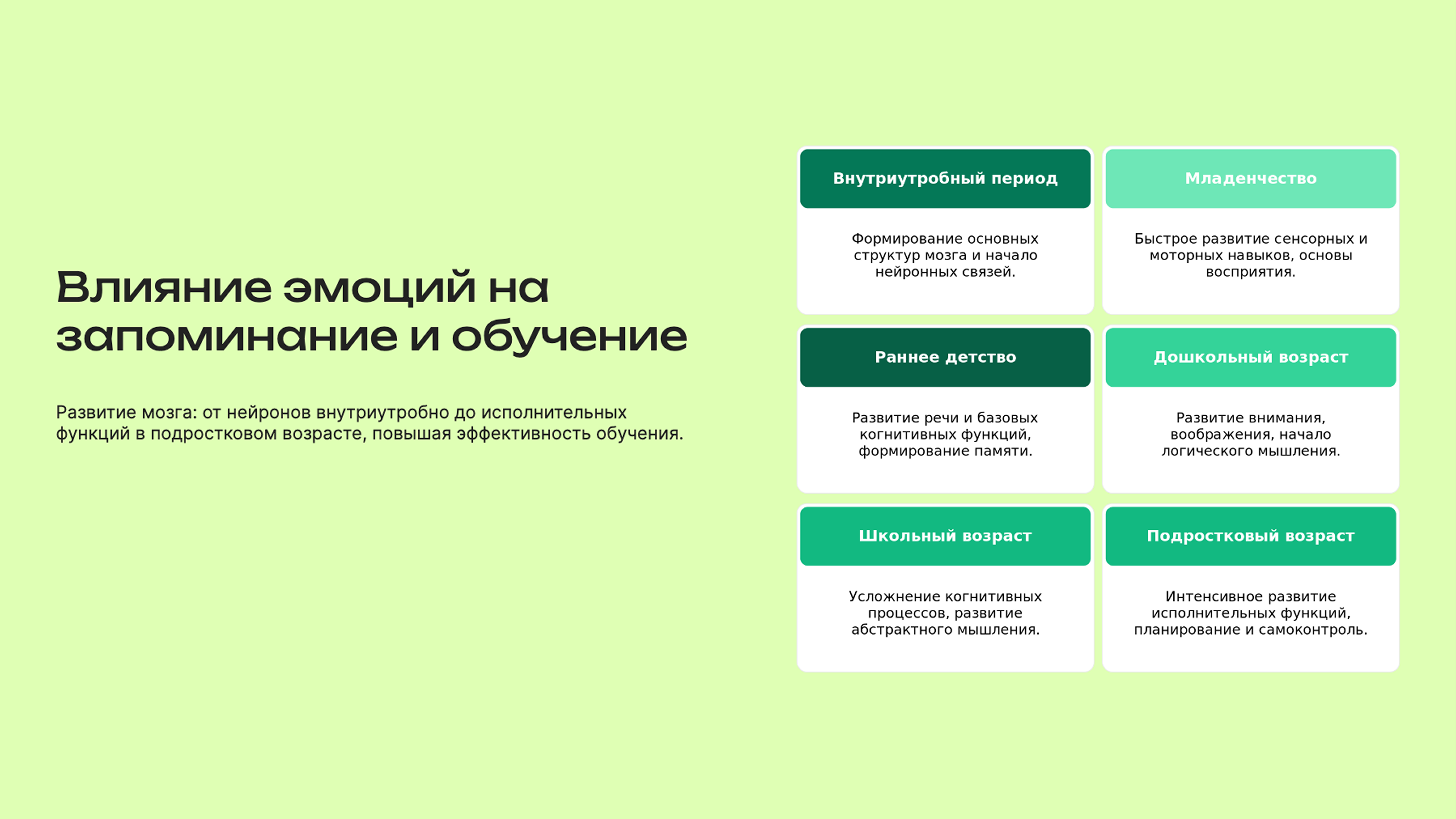 Слайд 2: Развитие мозга