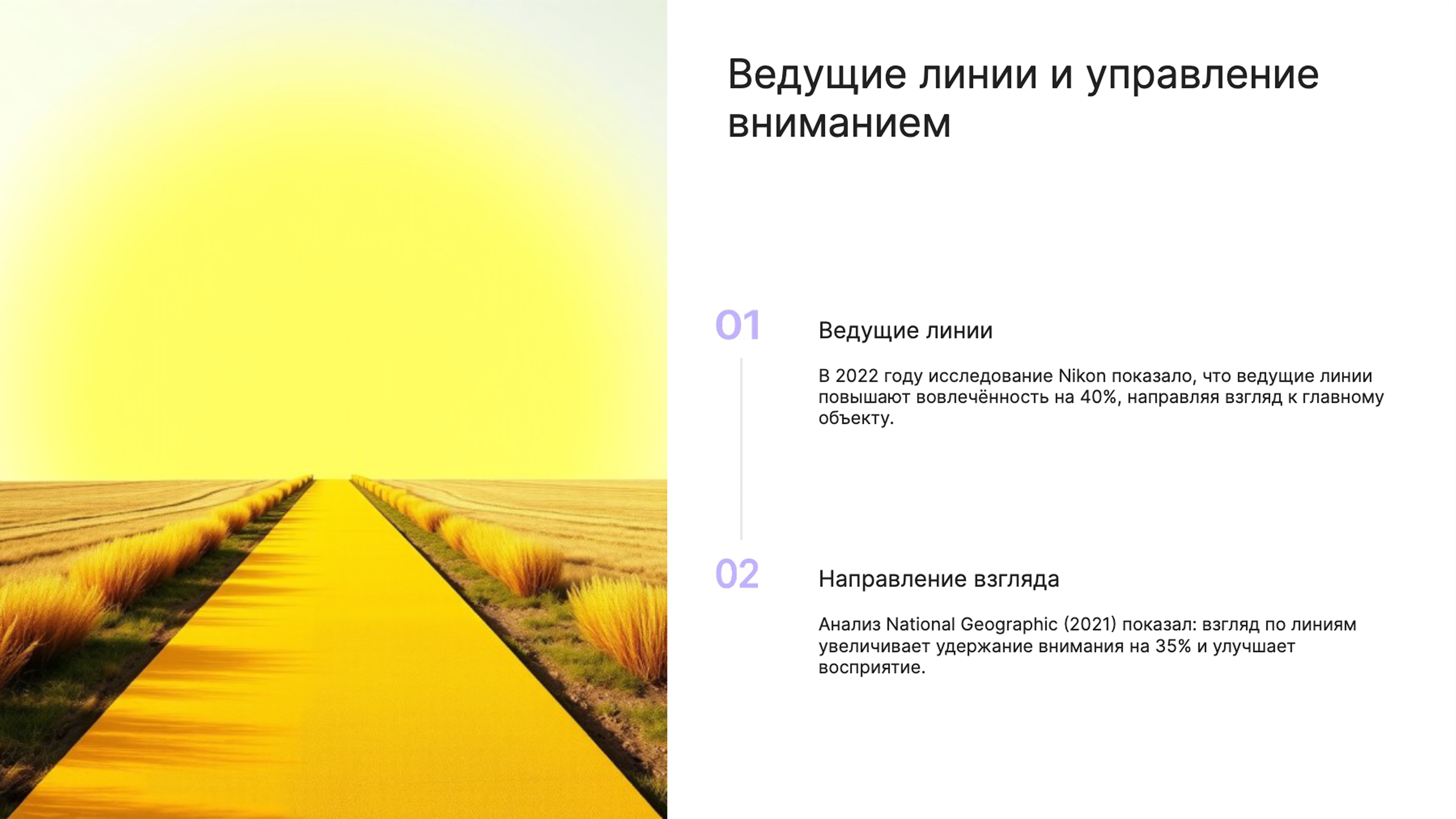 Слайд 7: Ведущие линии и управление вниманием