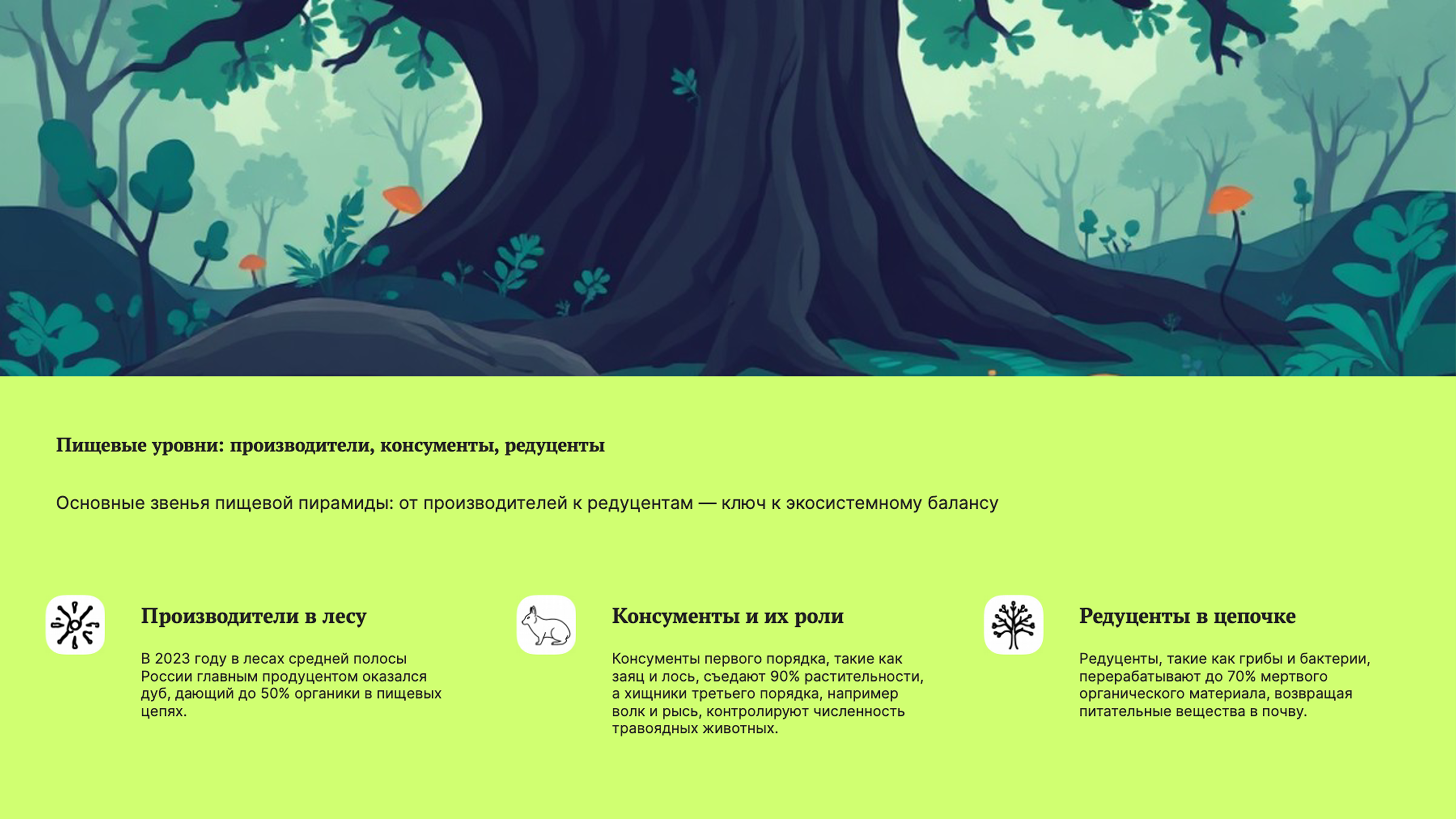 Слайд 2: Пищевая пирамида