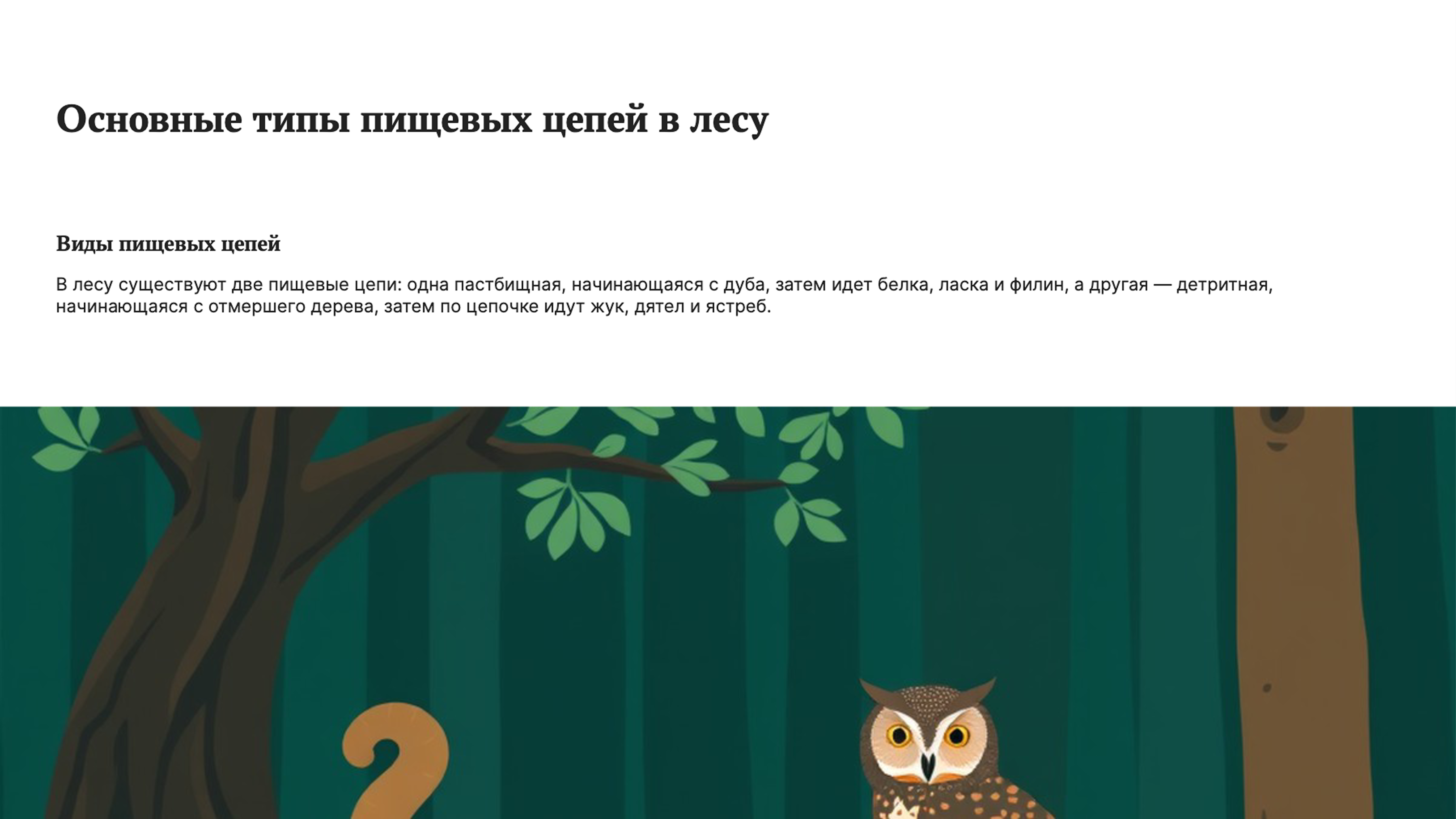 Слайд 3: Типы пищевых цепей