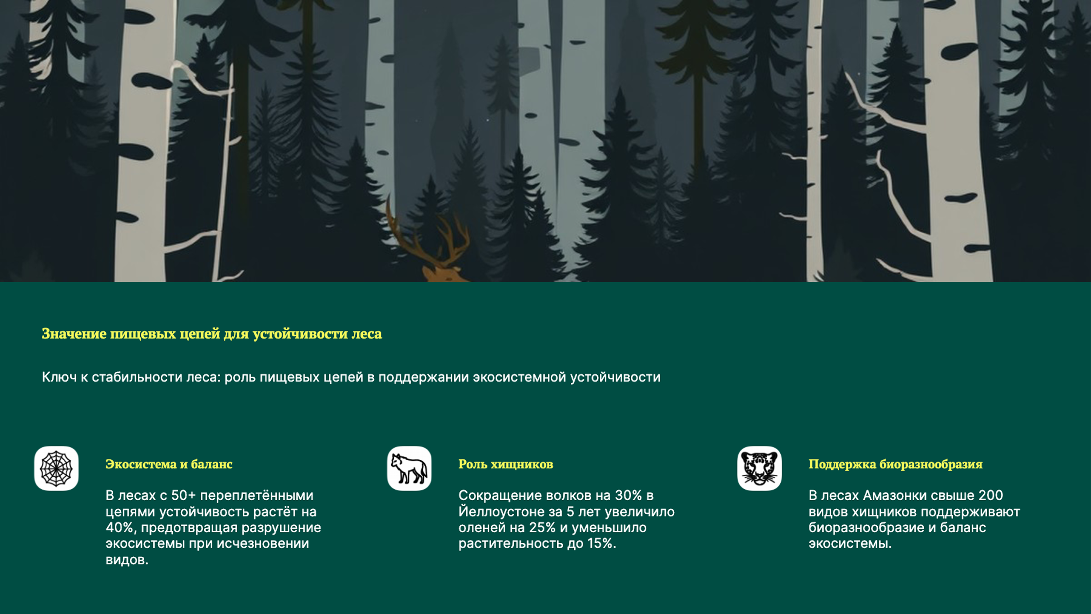 Слайд 9: Роль пищевых цепей