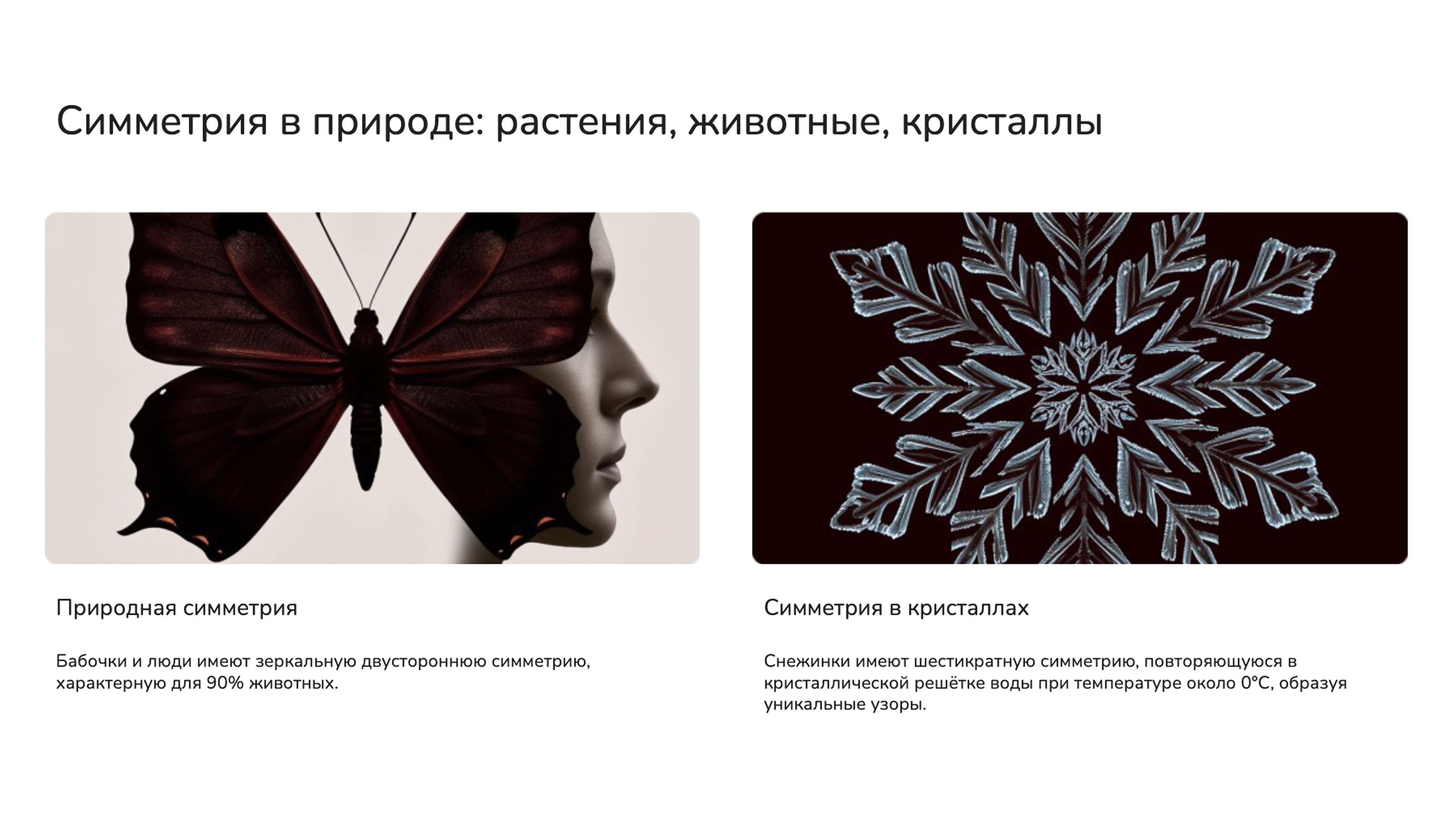 Слайд 3: Симметрия в природе: растения, животные, кристаллы